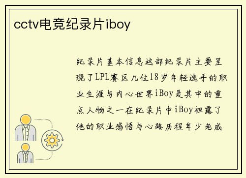 cctv电竞纪录片iboy